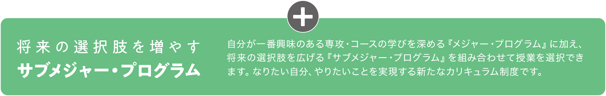 将来の選択肢を増やすサブメジャー・プログラム　自分が一番興味のある専攻・コースの学びを深める『メジャー・プログラム』に加え、将来の選択肢を広げる『サブメジャー・プログラム』を組み合わせて授業を選択できます。なりたい自分、やりたいことを実現する新たなカリキュラム制度です。